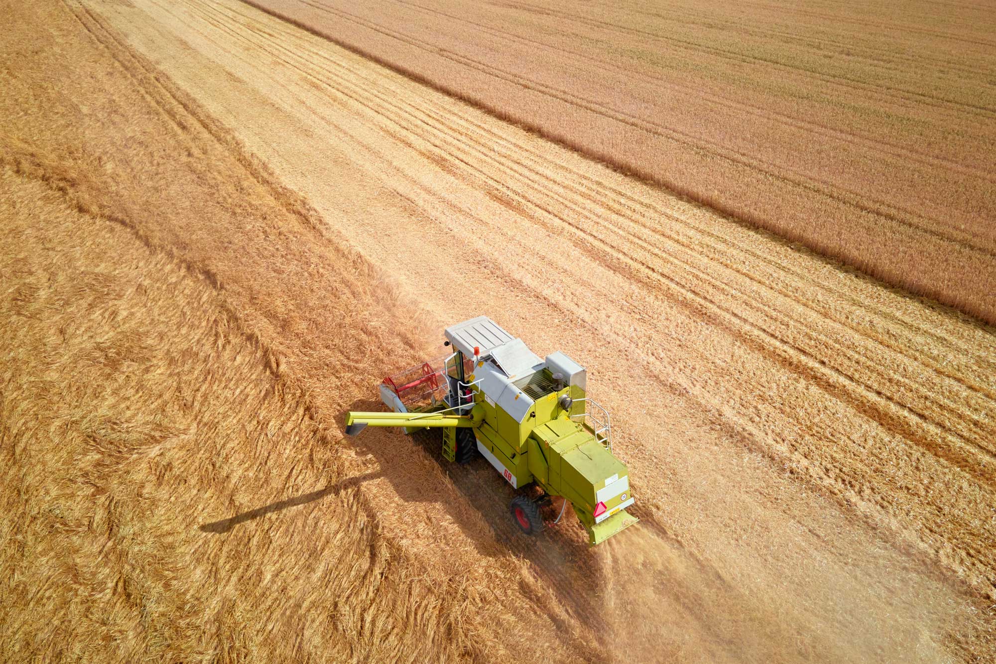 Estrategias para optimizar la gestión de la explotación agrícola y reducir los costes de producción.